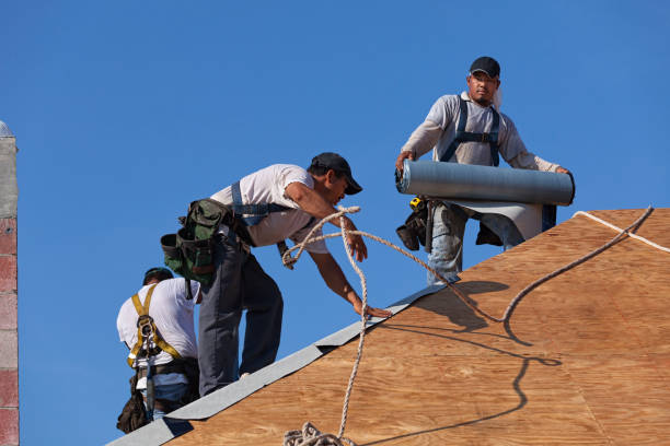 Sealant for Roof in Spring Lake Park, MN
