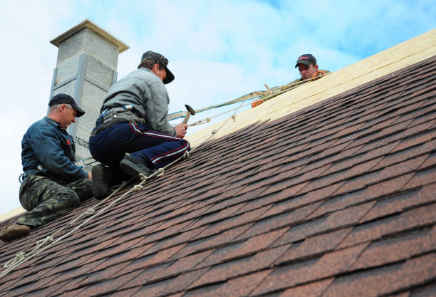 Quick and Trustworthy Emergency Roof Repair Services in Spring Lake Park, MN