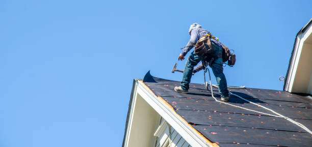 Best Local Roofing Companies  in Spring Lake Park, MN